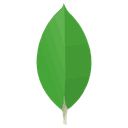MongoDB